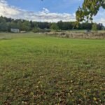 WhatsApp-Image-2025-10-08-at-17.37.33