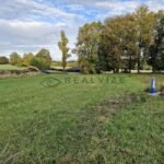 WhatsApp-Image-2025-10-08-at-17.37.39