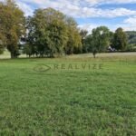 WhatsApp-Image-2025-10-08-at-17.37.40