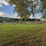 WhatsApp-Image-2025-10-08-at-17.37.34