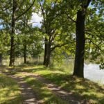 prodej-stavebniho-pozemku-na-okraji-lazenskeho-mesta-trebon-10-vychazkovy-okruh-1-c9a4d7